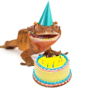 The 10th Year of the Lizard